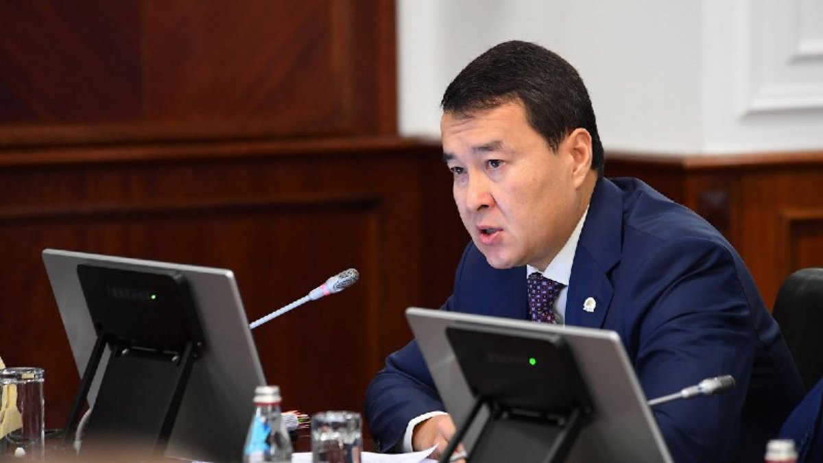 Әлихан Смайылов: Мәселеге әкімдер дұрыс қарамай отыр