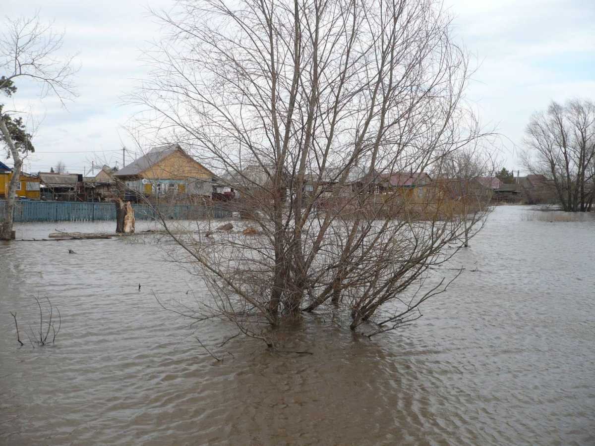 Су тасқыны: Ұлытау облысында 4 мыңға жуық адамның өміріне қауіп төніп тұр