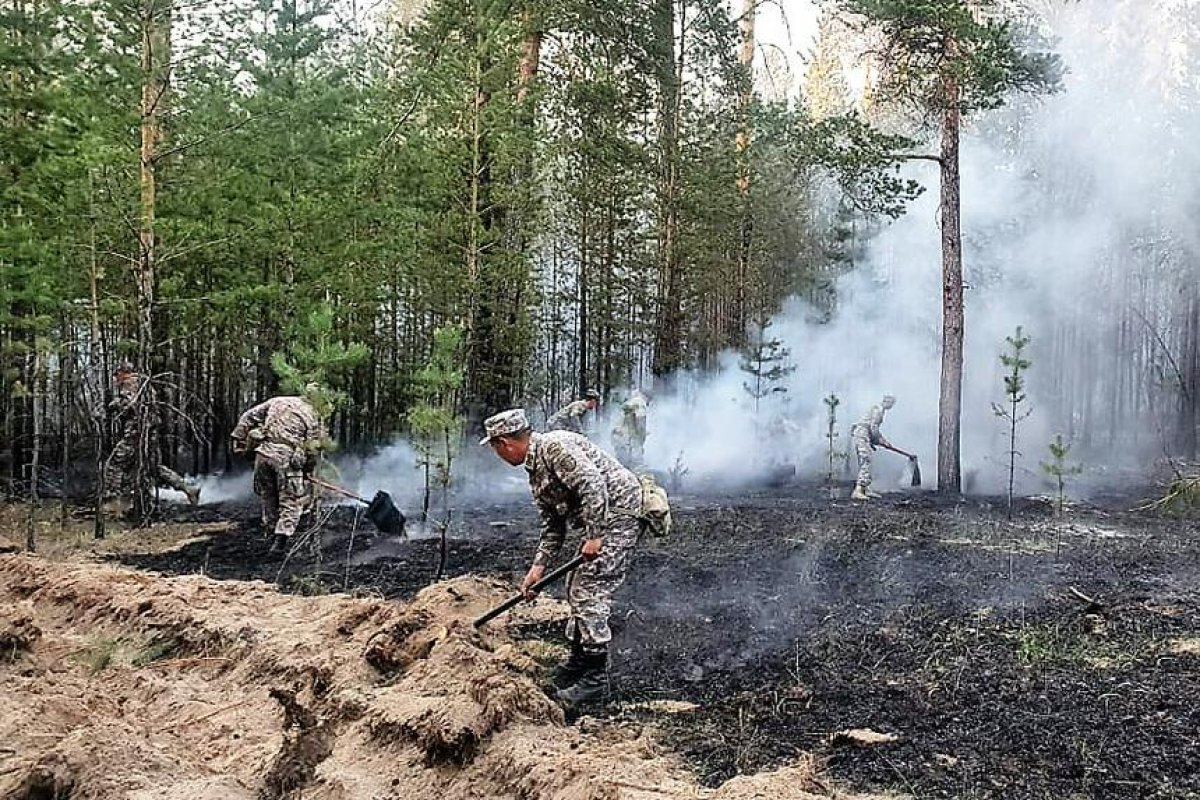 Абай облысындағы өрт: 800-ден астам адам, 10 тікұшақ жалынмен арпалысып жатыр