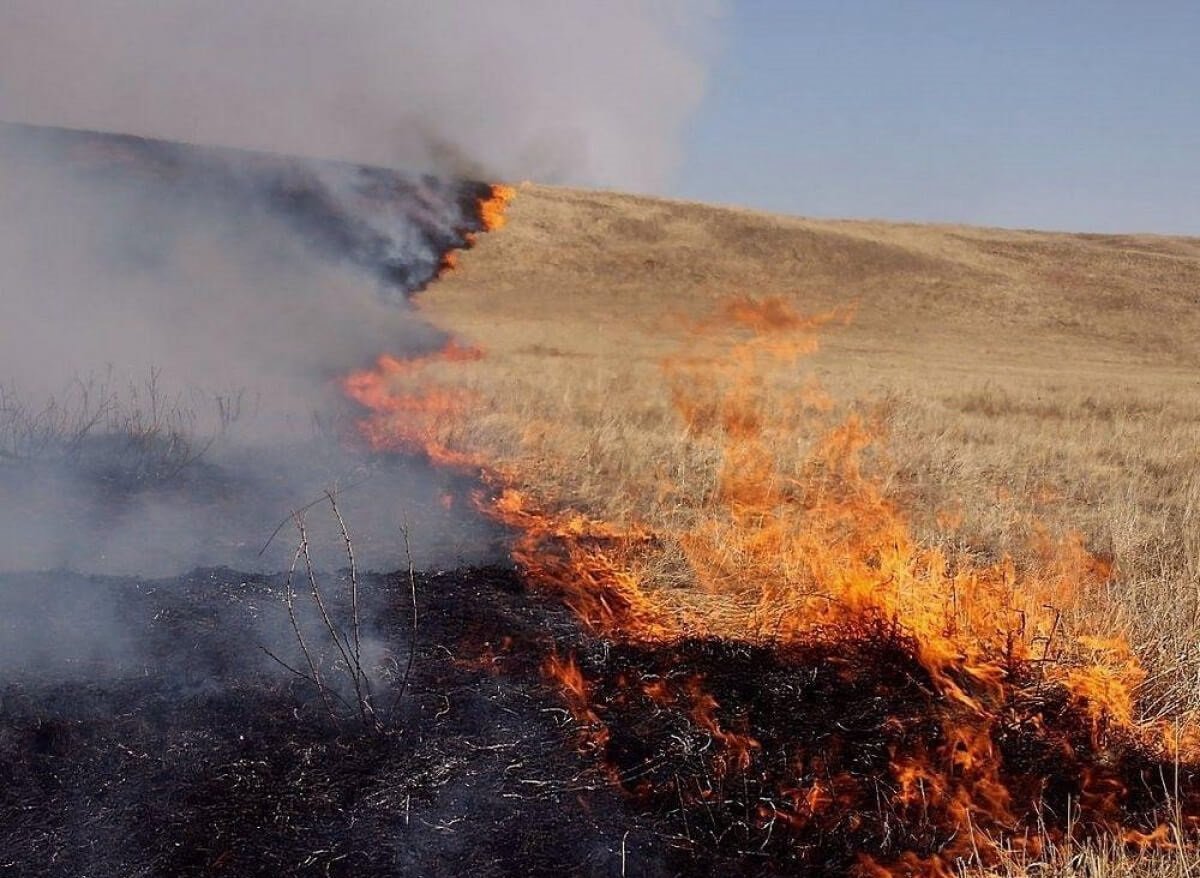 Қарағанды облысында таудағы өрт бір аптадан бері сөндіріліп жатыр