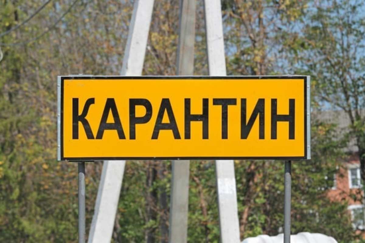 Мал қырылып, адамдар ауырып жатыр: Ақмоладағы ауылдардың бірі карантинге жабылады