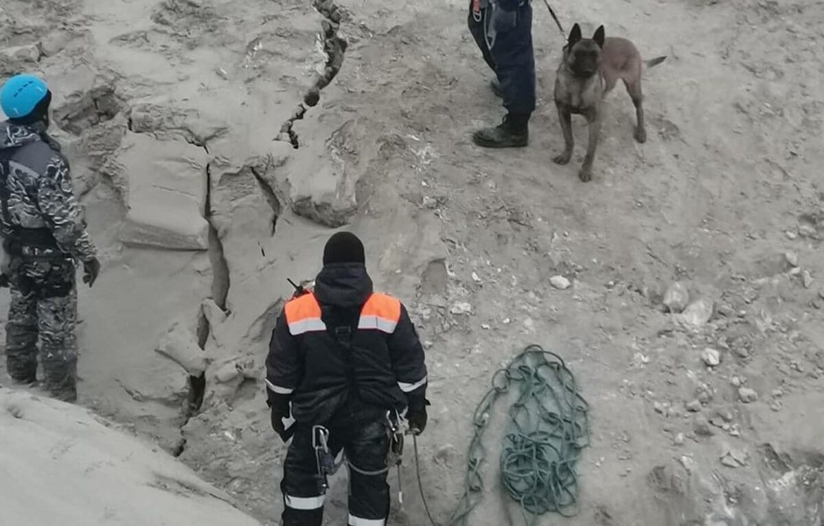 Майқайың кенішіне астаналық кинологтар тартылды