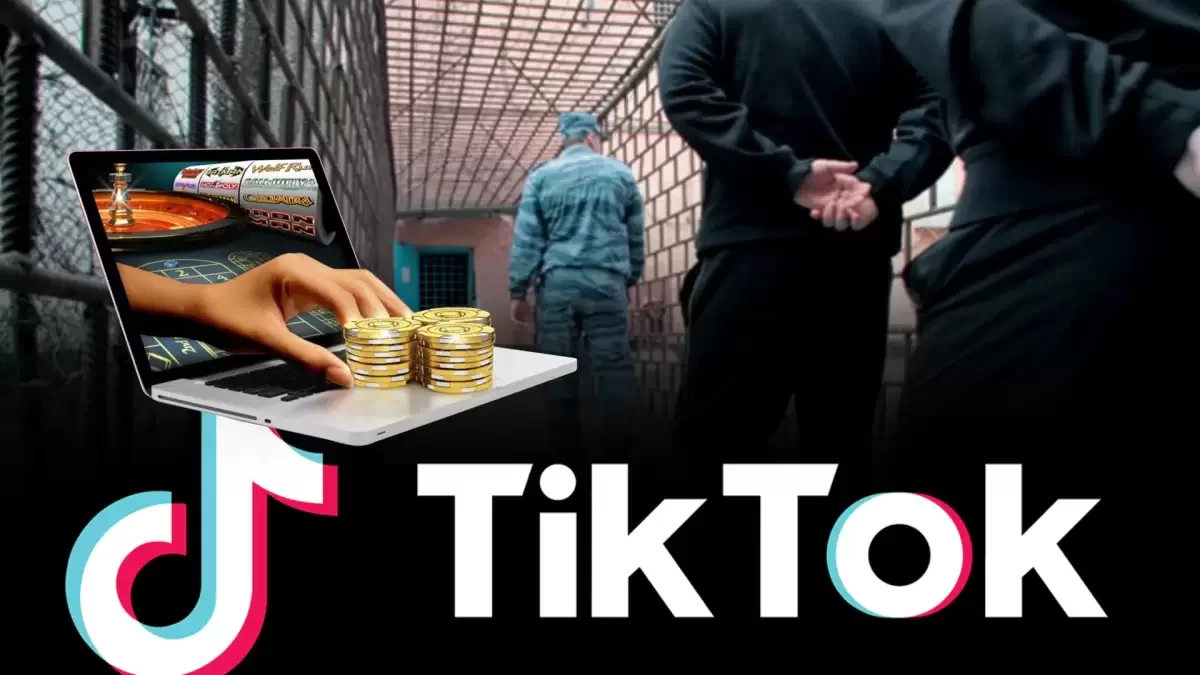 «Радикалды, сепаратистік контенттер бар»: тағы бір депутат TikTok-ты бақылауға шақырды