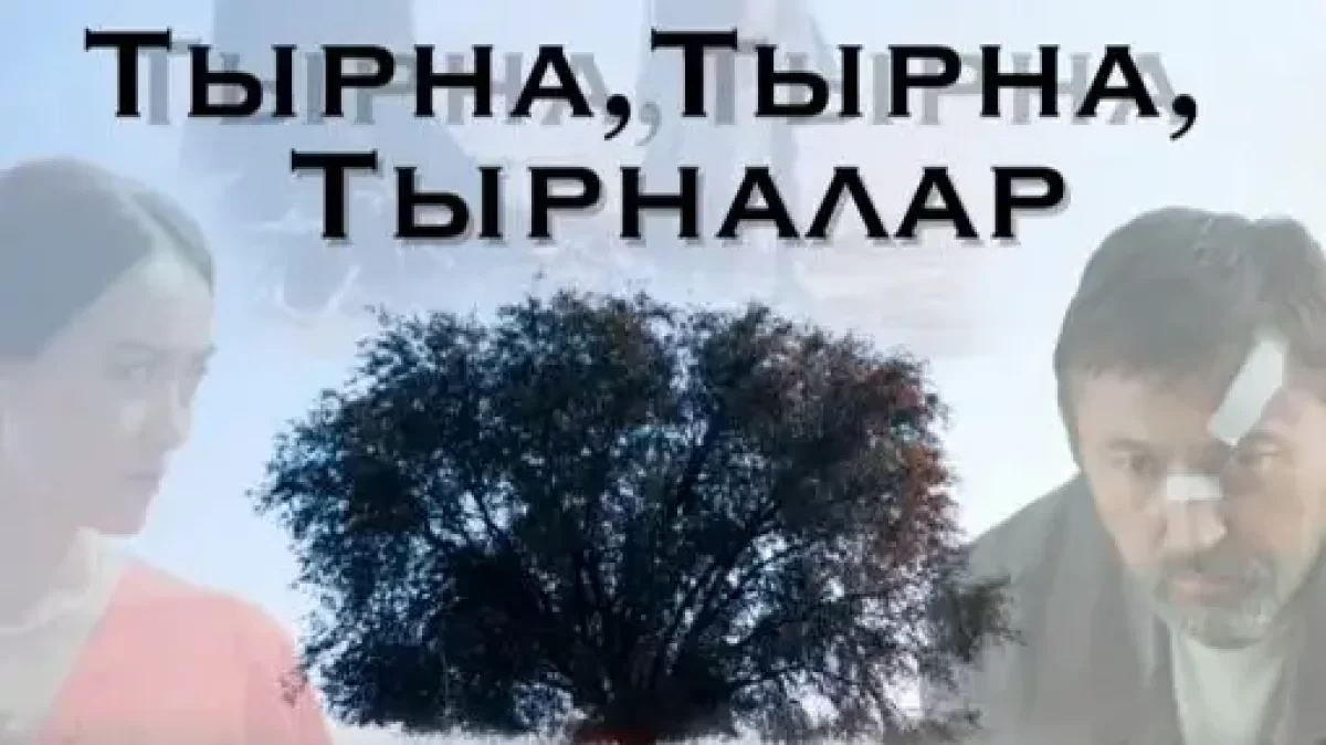 Ұлттық киноны қолдауға бөлінген қаржы тиімсіз жұмсалған: кімдер жауапқа тартылды