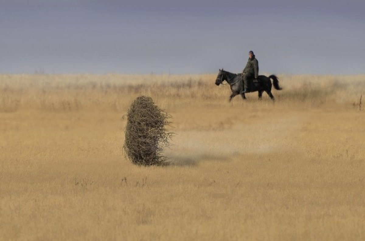 Құтқарушылар ашық далада адасып кеткен жасөспірімді тапты