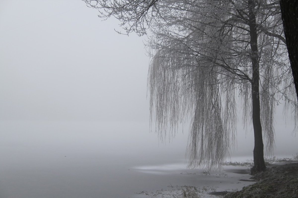 Қарлы боран мен қалың тұман: бүгін ауа-райы қандай болады