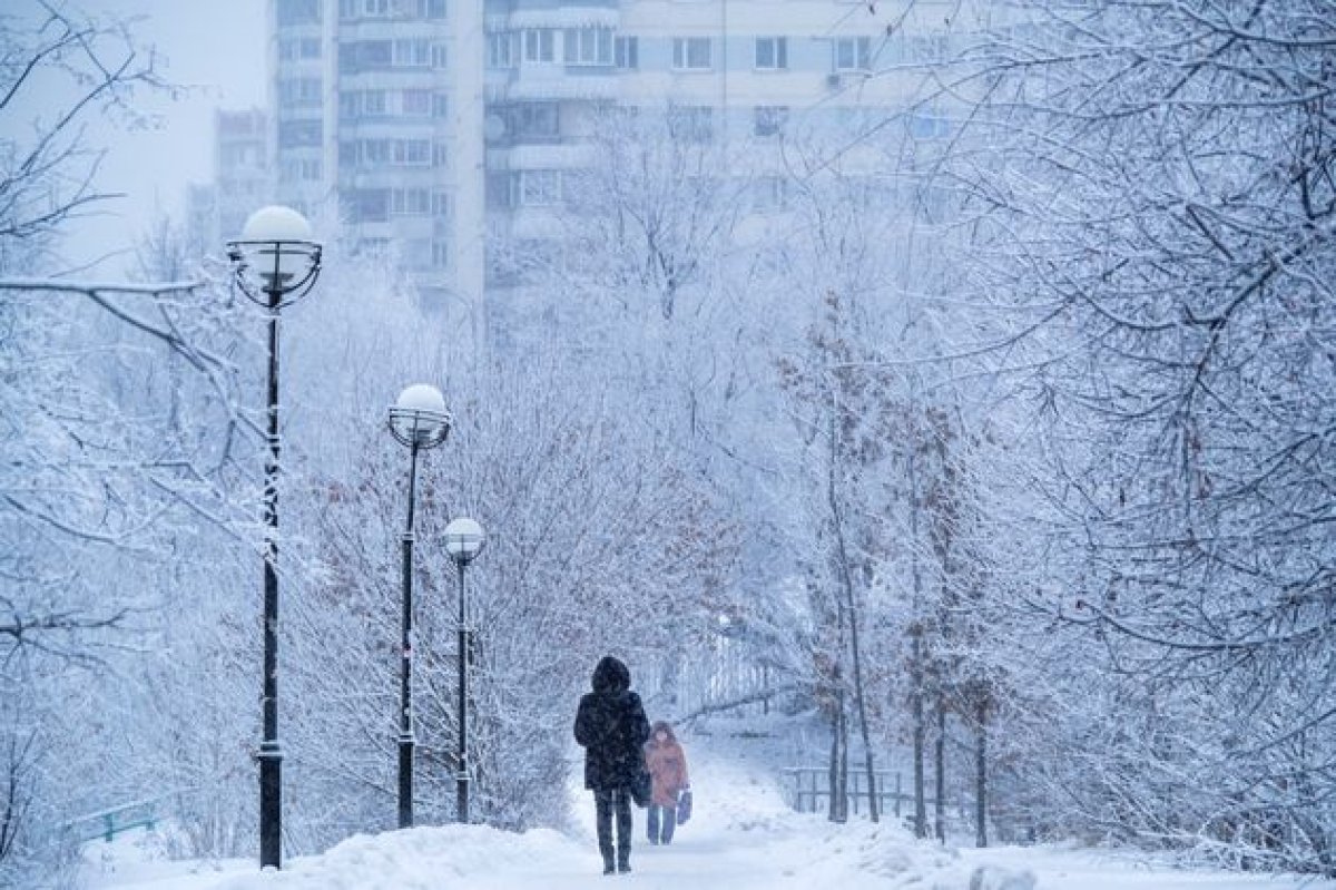 Сақылдаған сары аяз: бүгін күн бірнеше өңірде -30°C-қа дейін суиды