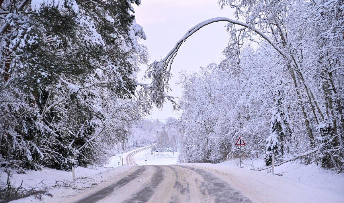 -27°C дейін аяз, көктайғақ, ескерту: 4 ақпанда ауа райы қандай болады