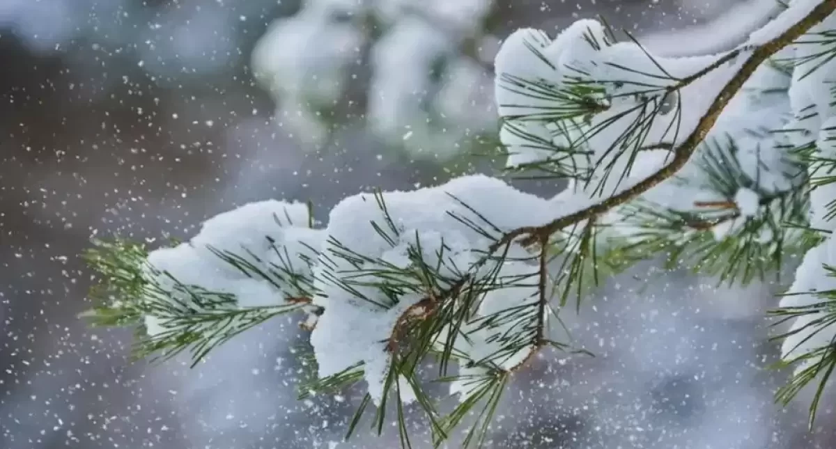 Көктемге әлі ерте: кей өңірде -19°C дейін күн суиды