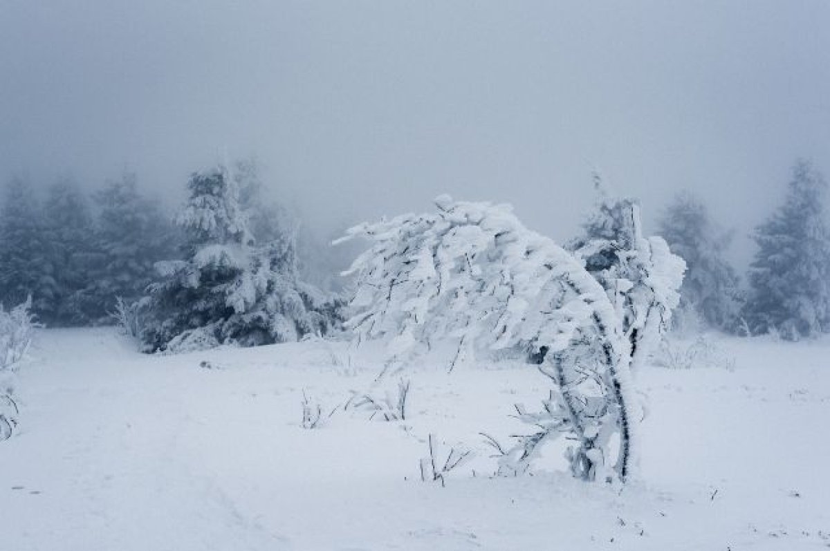 Қыс ызғары қайтпайды: өңірлерде -22°C дейін күн суып, аяз болады