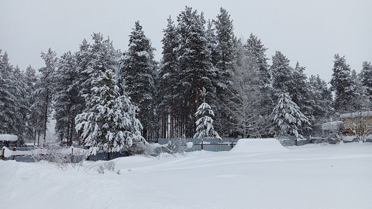 -25°C аяз сақталады: Қазгидромет алдағы күндердегі ауа райы болжамын ұсынды