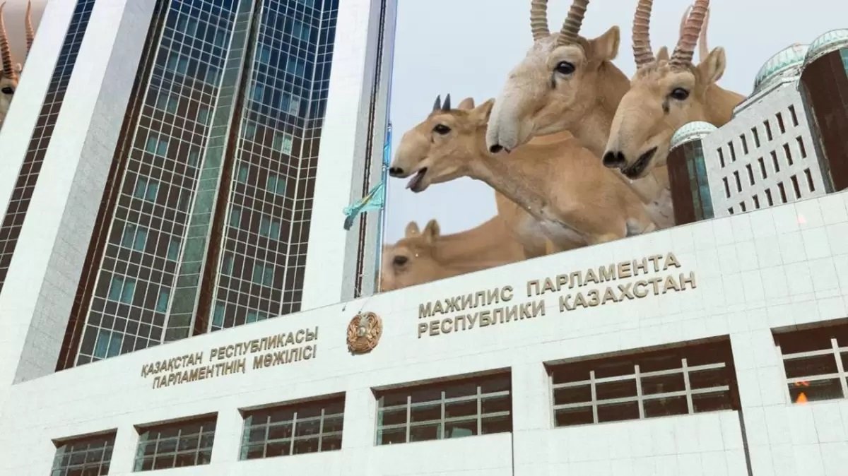 Қазақстанның экологиялық жетістігі қалай бір сәтте «халық жауына» айналды