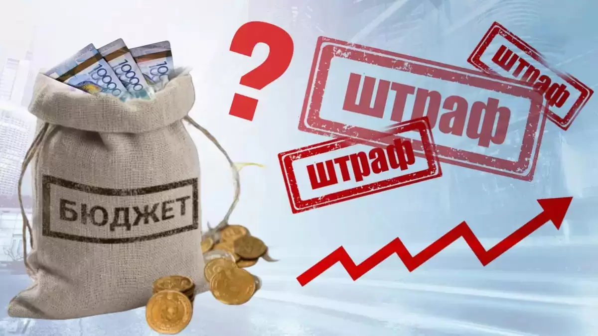 Қазақстанда кәсіпкерлерге қарапайым қате үшін айыппұл салынып жатыр
