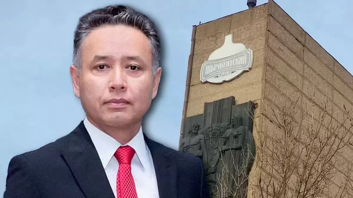 Тұрсын Алагөзов қандай бизнес түрлеріне иелік етеді