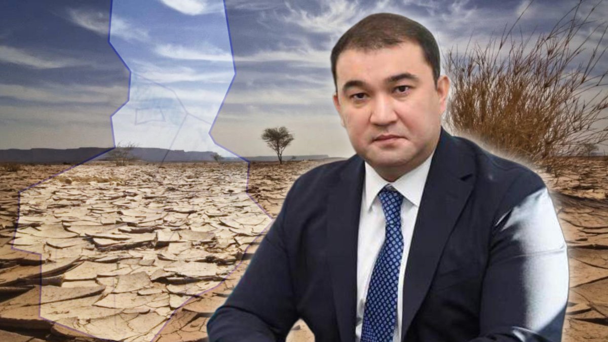 Көшеров Түркістан облысында аптаптан мал қырылып жатқанын жоққа шығарды