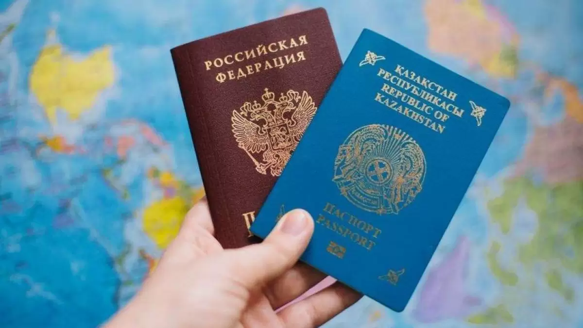 Қазақстаннан Омбыға көшетіндер саны көбейген