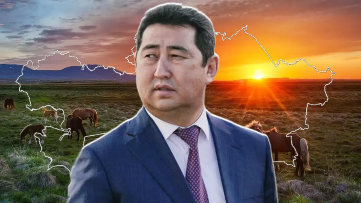 Ұлан-ғайыр далада мал жаятын жер жоқ:  АШМ неге жайылым мәселесін шеше алмай отыр