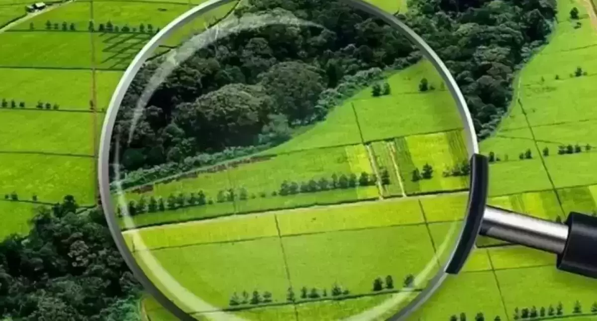 Қазақстанның бір өңірінде жер тегін беріледі