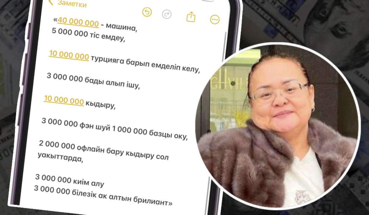 10 млн теңгеге қыдыру, 5 млн теңгеге тіс емдеу - Перизаттың анасының телефонындағы жазбалар