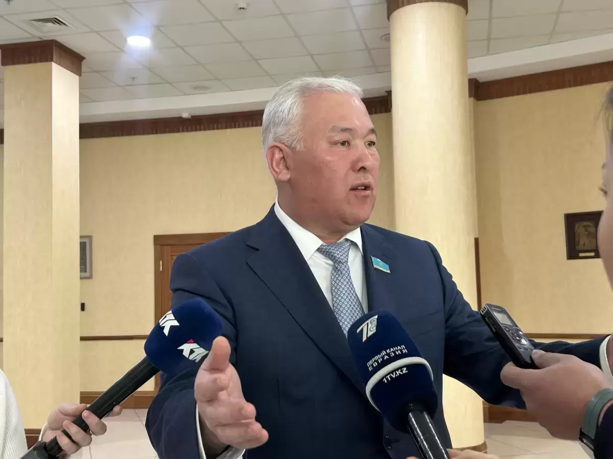 Депутат Әбенов шетелдік компанияларды қолдауды тоқтатуды талап етті