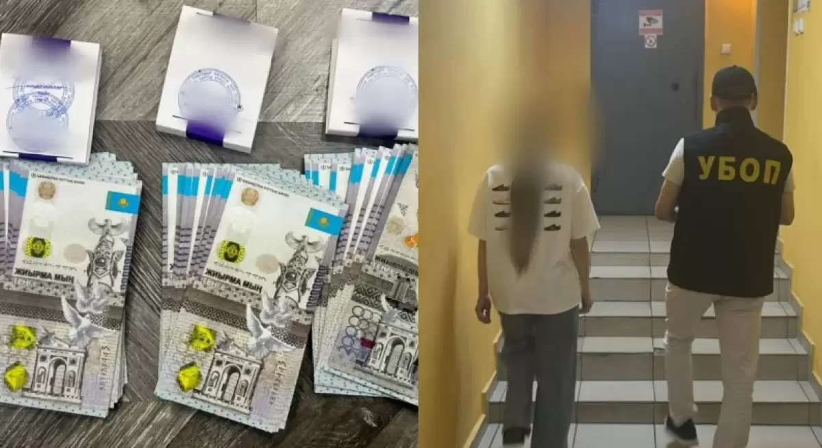Шетелдік әйел Қазақстанда бүйрегін сатпақ болған