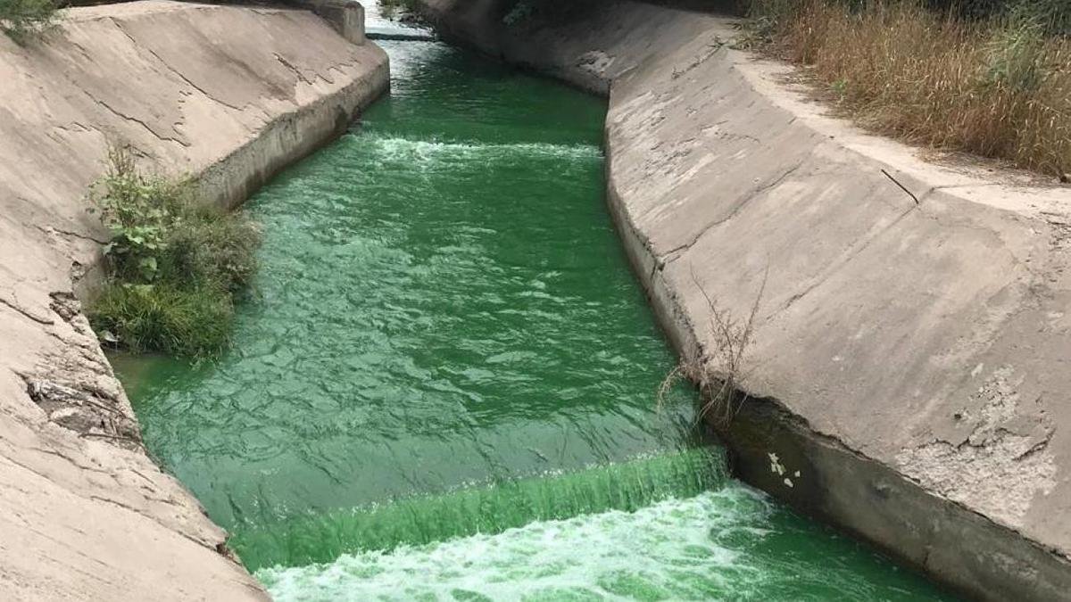 Химиялық қоқыс төгілуі мүмкін: Алматыда Қарғалы өзені жасыл түске боялды