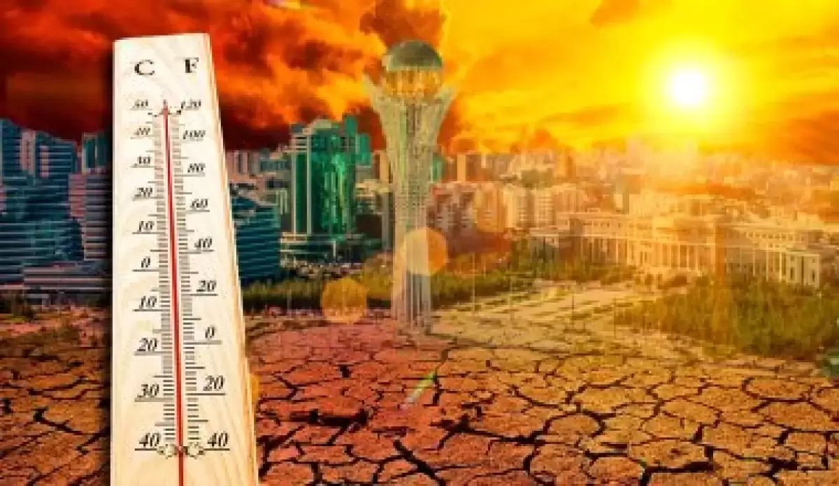 Қызылорда облысындағы қуаңшылық: 1700 гектар күріш алқабы күйіп кеткен