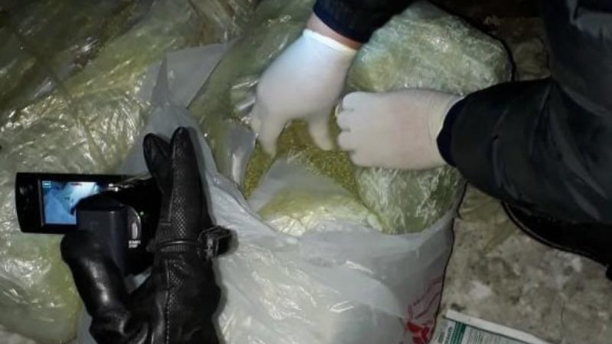 200 келі есірткі табылған: Жабыл облысында әкесі мен баласы жеті жылға сотталды