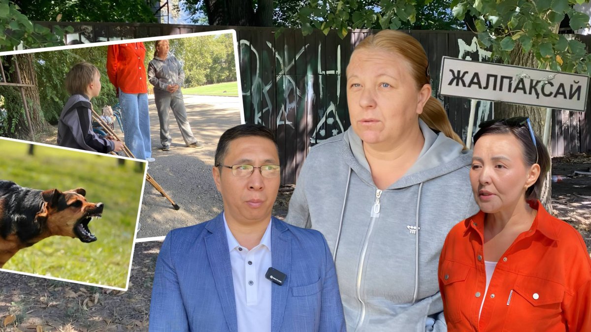 Балдаққа сүйенген бала, қабаған ит, тоқтап тұрған іс: Жалпақсайда иттер өлімші етіп талаған Максимнің оқиғасы