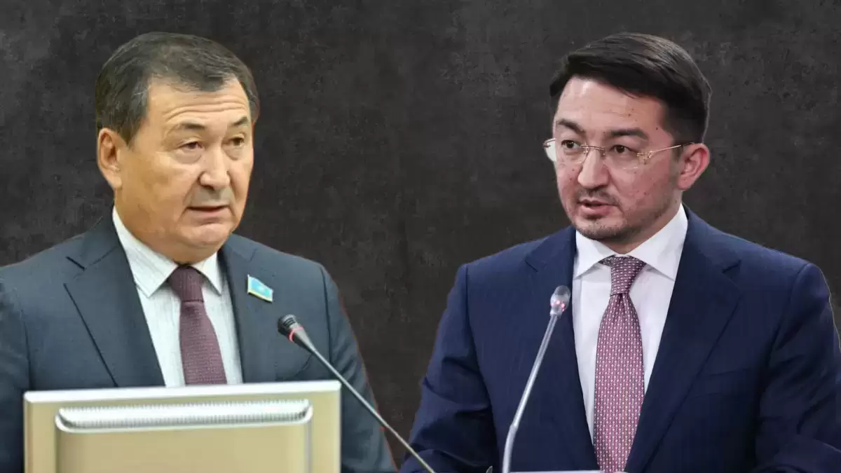 "Оны тағайындаған мен емес" - депутат министр күйеубаласы туралы