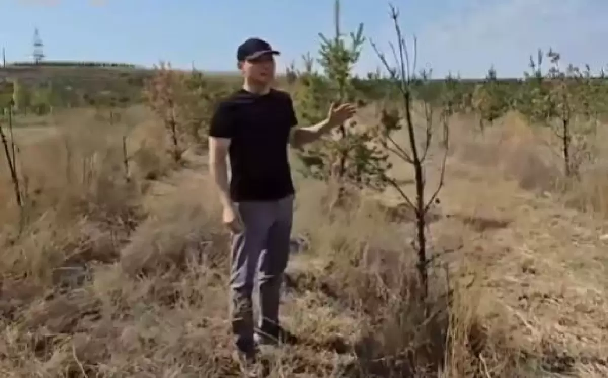 Саябақтың орнына қураған ағаштар: Боқаев Алматыдағы ақша жымқыру схемасын көрсетті
