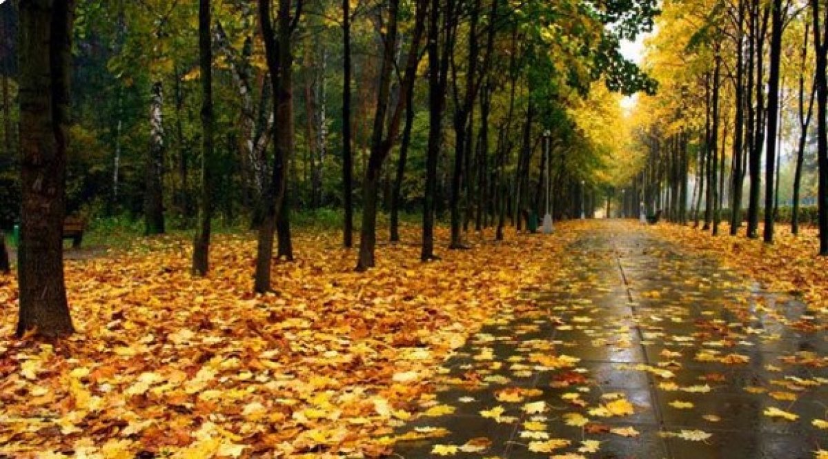 Қалың киіміңіз дайын ба - синоптиктердің болжамы