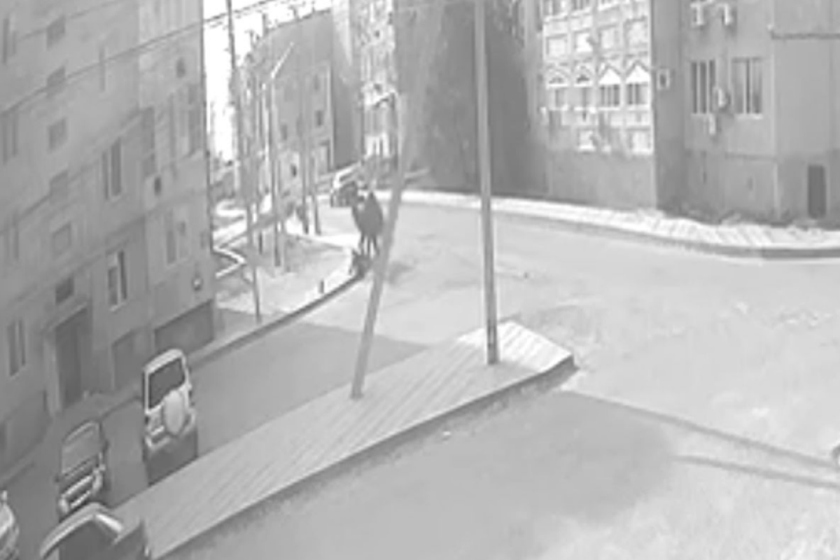 Атырауда түйе баланы таптап кеткен