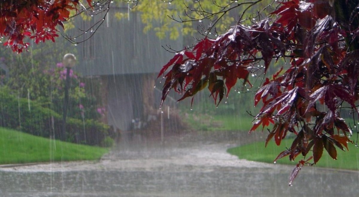 Жұмысқа қалай киіну керек - синоптиктер ауа райы болжамын ұсынды