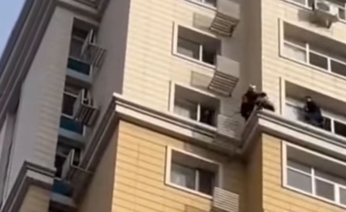 Астаналық қыз 15-қабаттан секірмек болған