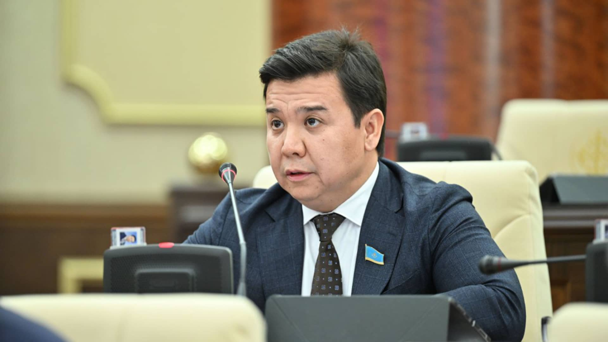 "Ол - менің ұлым, мен оны жасырған емеспін" - депутат желідегі айыптар туралы