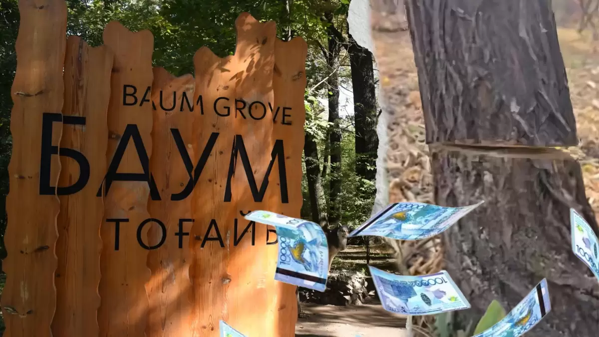 Тоғай дауына тоқтам керек: Алматының Баум тоғайын не күтіп тұр