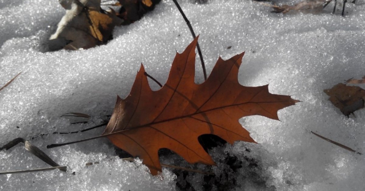 Жұмысқа қалай киіну керек - синоптиктер ауа райы болжамын ұсынды