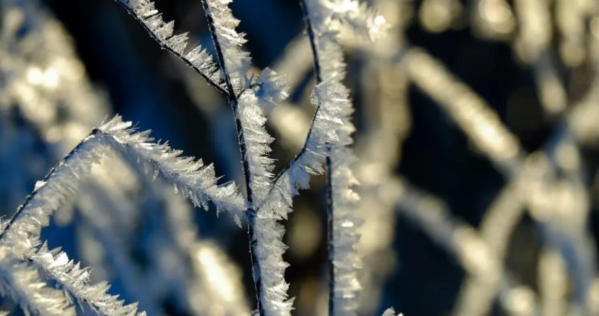 Жұмысқа қалай киіну керек - синоптиктер ауа райы болжамын ұсынды