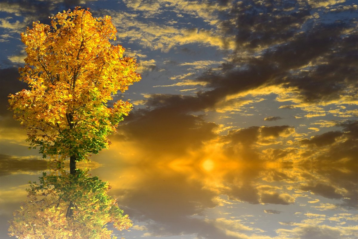 Жауын-шашынсыз: 17 қарашаға арналған ауа райы болжамы