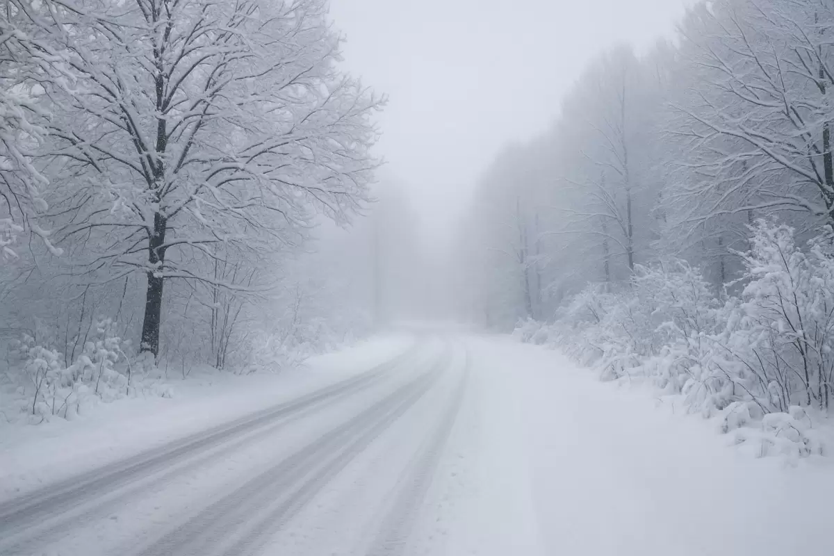 Биыл елде қыс біршама жылы болады