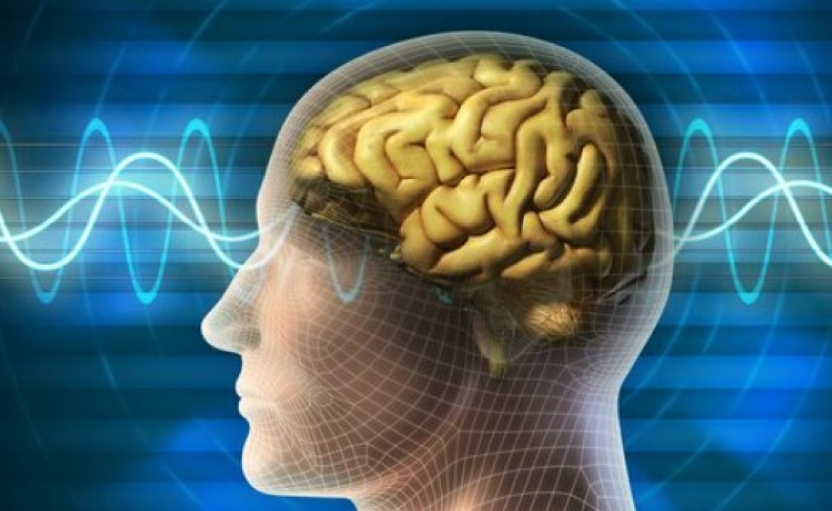 Қысқа роликтер ұйқыны бұзады, мазасыздықты арттырады