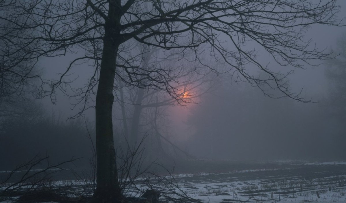 Тұман түсіп, қар жауады - бүгінге ауа райы болжамы