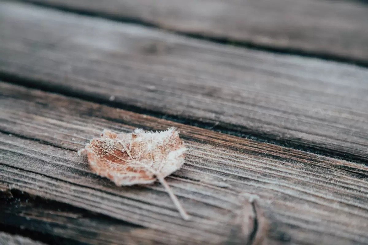 Қазақстанда күн күрт суытады