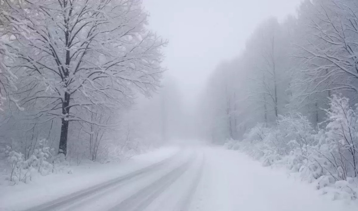 Тұман түсіп, көктайғақ болады - синоптиктер ескерту жасады