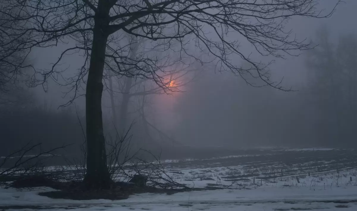 Тұман, боран: 16 өңірде ауа райына байланысты ескерту жасалды