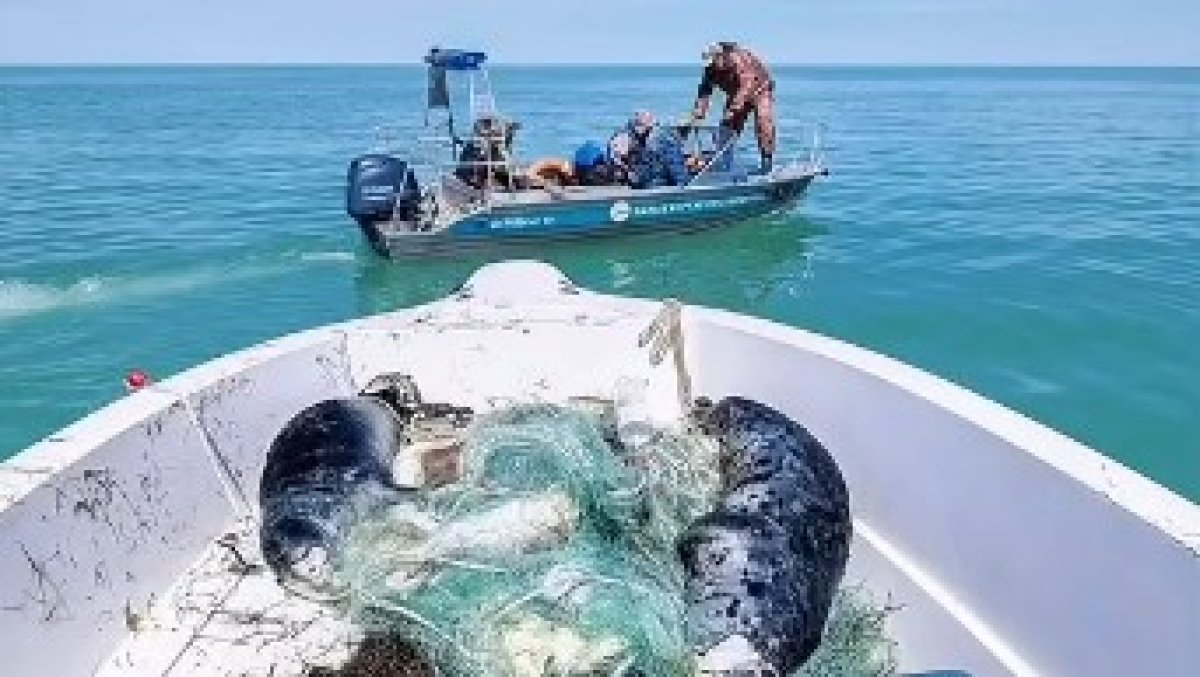 Каспий теңізі туралы фотожоба халықаралық деңгейде мойындалды
