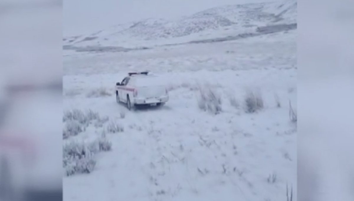 Қарағанды облысында малын іздеп шыққан қария көлігінде мерт болған