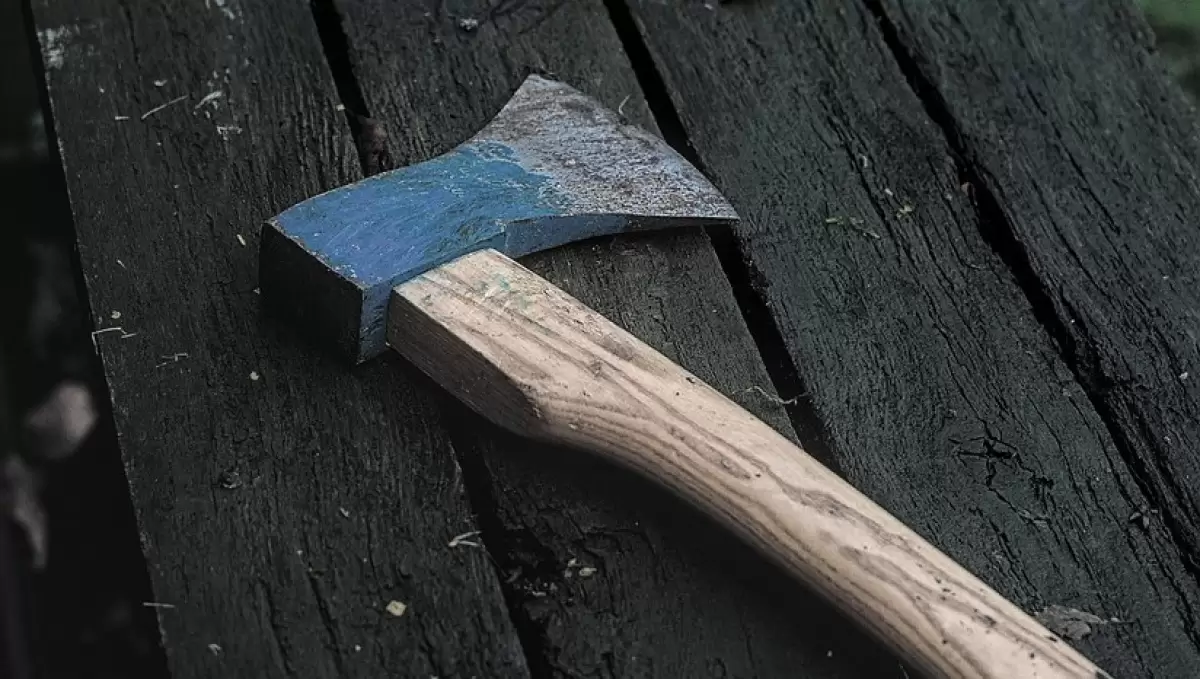 Жамбыл облысында сарбаз саусағын балтамен шаппақ болған