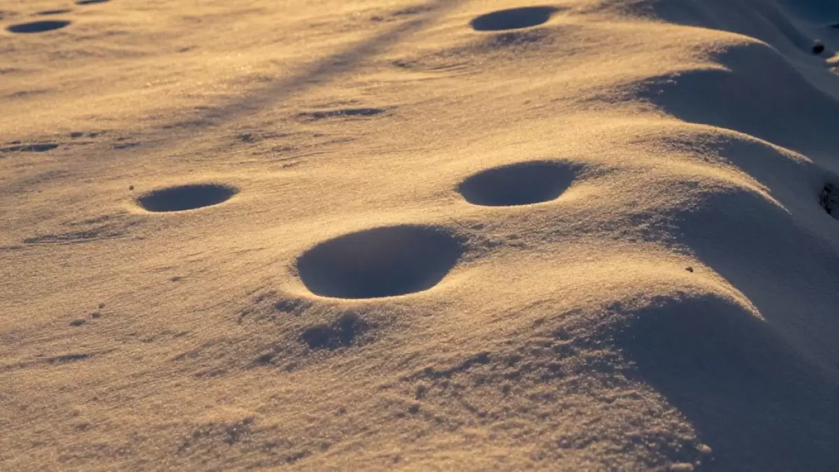 Экологтар Өскеменде "сары" қар қайдан жауғанын анықтады